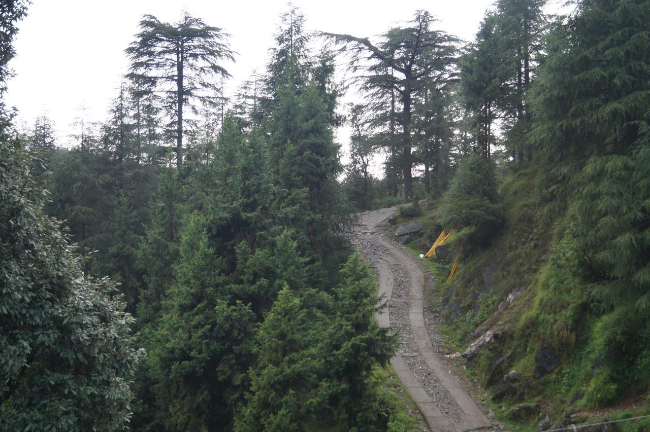 Hotel Shivalay Dharamshala Luaran gambar